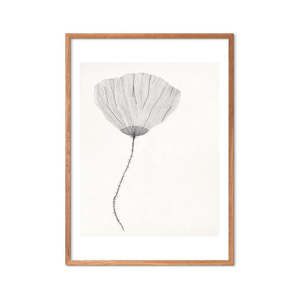 Poppy plakat, creme - 50x70 cm